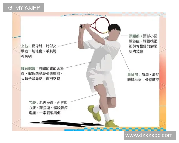 张磊深度解析网球技巧与心得分享助你提升球技的秘诀